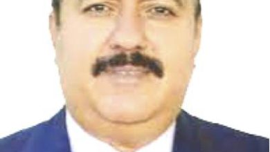  د.ضياء واجد المهندس / مجلس الخبراء العراقي